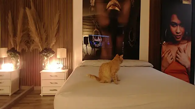 Sam mansson66 online show from November 14, 2025, 2:27 pm