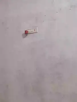 Ramya-Lovely online show from January 3, 2025, 5:39 am