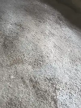 Snapshot of SisterlyFarmhand chatting on October 12, 2025, 10:58 am SisterlyFarmhand online show from October 12, 2025, 10:58 am