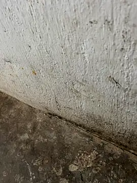 Snapshot of tamil000000 chatting on November 3, 2025, 3:30 am tamil000000 online show from November 3, 2025, 3:30 am