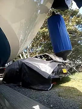 Snapshot of andres599 chatting on December 6, 2024, 7:56 pm andres599 online show from December 6, 2024, 7:56 pm