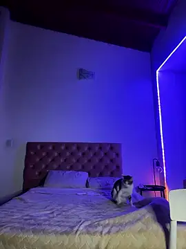 soygalaof online show from January 11, 2026, 6:40 am