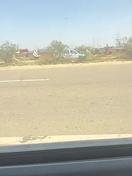 poision51 online show from March 4, 2025, 5:21 am