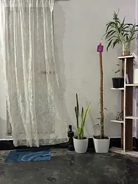 Snapshot of mikemacluffy chatting on September 25, 2025, 4:00 pm mikemacluffy online show from September 25, 2025, 4:00 pm