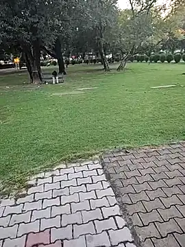 Snapshot of lofarinsan chatting on October 6, 2025, 12:13 pm lofarinsan online show from October 6, 2025, 12:13 pm