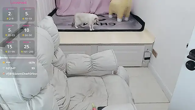 Tang-1314 online show from February 5, 2025, 5:30 am