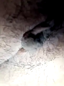 Snapshot of lemon69Reo chatting on February 26, 2025, 9:48 pm lemon69Reo online show from February 26, 2025, 9:48 pm