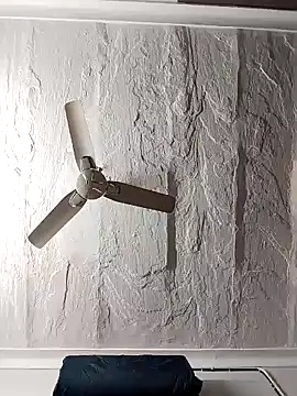 shalini fire online show from January 11, 2025, 5:51 pm