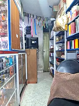 nidia2026 online show from November 6, 2025, 3:35 pm