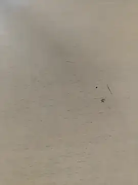 shale26 online show from September 28, 2025, 7:36 am