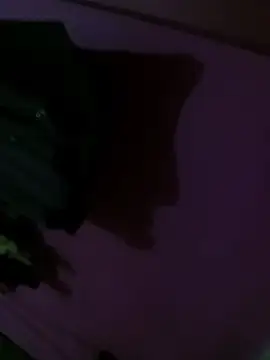 Snapshot of Mastar212 chatting on December 2, 2025, 8:26 pm Mastar212 online show from December 2, 2025, 8:26 pm