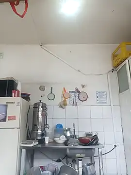 tuty Tap online show from December 4, 2025, 2:48 pm