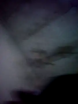 jolesin online show from December 21, 2024, 2:47 pm