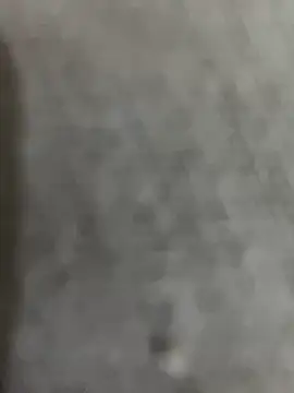 Snapshot of Gordelicia03 chatting on March 5, 2026, 3:02 am Gordelicia03 online show from March 5, 2026, 3:02 am