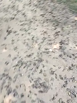 chootkapyasa007 online show from October 22, 2025, 7:19 am