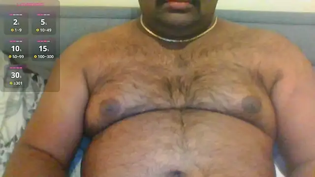 indianbearbot online show from January 29, 2025, 8:35 pm