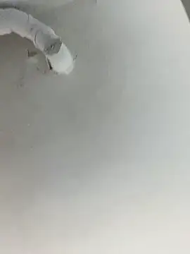 ekskekejejej online show from September 28, 2025, 2:55 pm