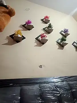 Soniya 444 online show from March 1, 2026, 3:03 pm