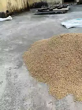 Snapshot of sweet_suman chatting on January 18, 2025, 11:21 am sweet suman online show from January 18, 2025, 11:21 am