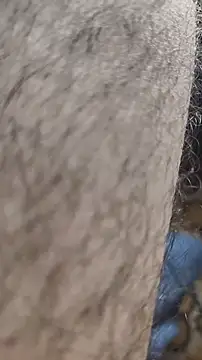 Snapshot of niyack69 chatting on January 31, 2026, 11:03 pm niyack69 online show from January 31, 2026, 11:03 pm