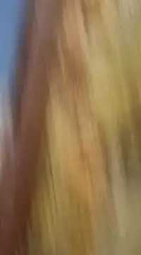 mksharma-mastlund online show from January 21, 2025, 3:48 am