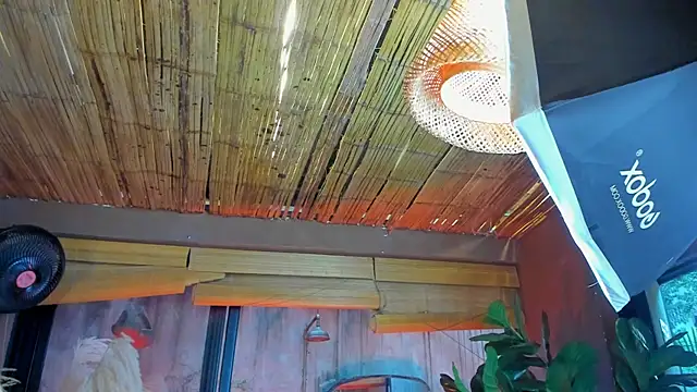 MarcoVitto online show from November 18, 2025, 7:29 pm