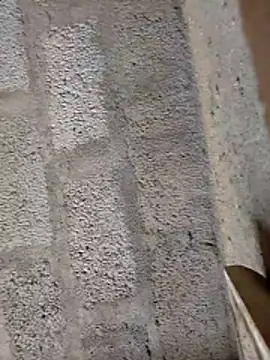 ruthaa online show from February 28, 2026, 8:15 am