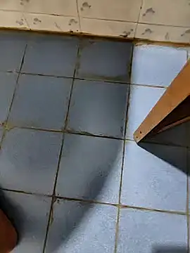 dreamers dick online show from January 9, 2025, 7:50 pm