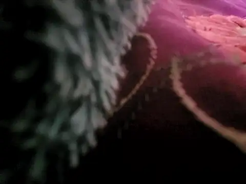 manterei2 online show from March 17, 2025, 7:04 pm