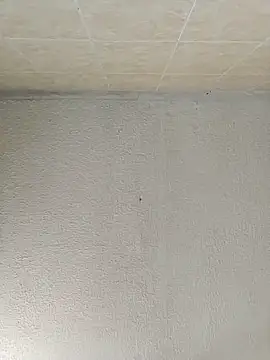 boobsTaylor online show from September 21, 2025, 6:53 pm