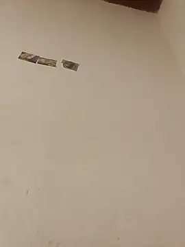 boobsTaylor online show from October 3, 2025, 7:05 am