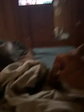 Snapshot of ferdi190 chatting on October 11, 2025, 10:58 am ferdi190 online show from October 11, 2025, 10:58 am