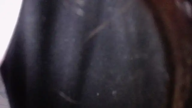 Snapshot of Sarita_v_ chatting on February 6, 2025, 6:56 pm Sarita v online show from February 6, 2025, 6:56 pm