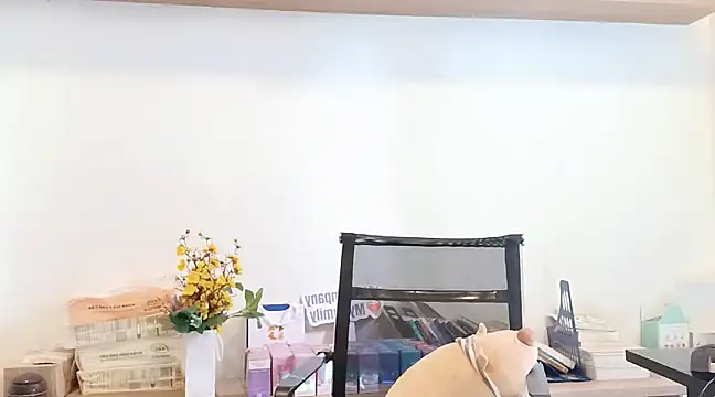 Lush-Office online show from March 12, 2025, 7:57 am