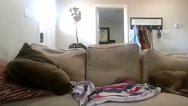 AcceptableForecast56 online show from February 22, 2026, 1:42 pm