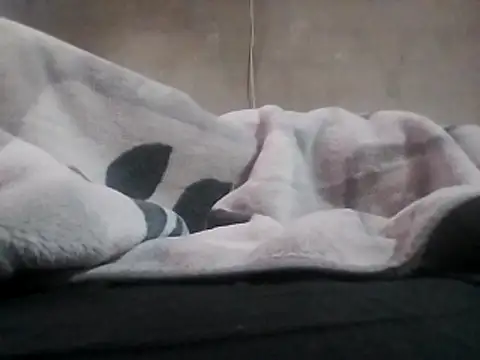 Snapshot of LaneYam chatting on April 2, 2026, 5:05 am LaneYam online show from April 2, 2026, 5:05 am