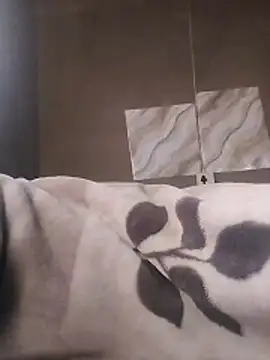 Snapshot of LaneYam chatting on April 9, 2026, 5:51 am LaneYam online show from April 9, 2026, 5:51 am