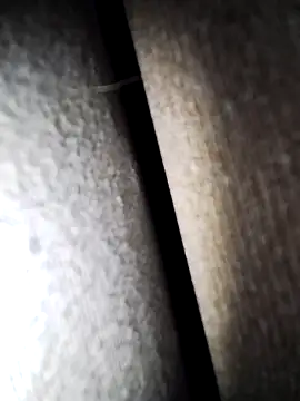 Snapshot of Speedyx0 chatting on February 3, 2025, 1:30 pm Speedyx0 online show from February 3, 2025, 1:30 pm