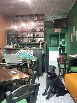 ilonna2025 online show from March 15, 2026, 11:33 pm