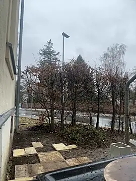 Ciara2004 online show from February 11, 2026, 1:27 pm