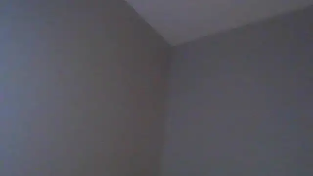 geld 88 online show from March 12, 2025, 3:57 am