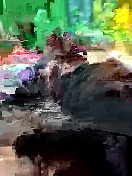 Raj41 online show from February 14, 2026, 11:51 am