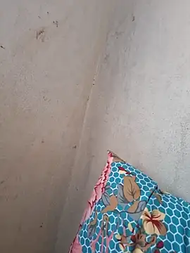 novinhatransexy online show from November 19, 2025, 5:57 pm