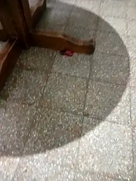 parejarica420 online show from March 6, 2026, 8:38 pm