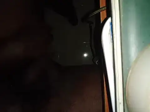 Snapshot of world_bigdick1 chatting on February 14, 2025, 5:14 pm world bigdick1 online show from February 14, 2025, 5:14 pm