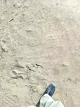 xmanrawan2 online show from February 2, 2025, 6:37 am