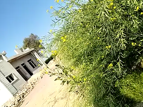 xmanrawan2 online show from February 6, 2025, 6:29 am