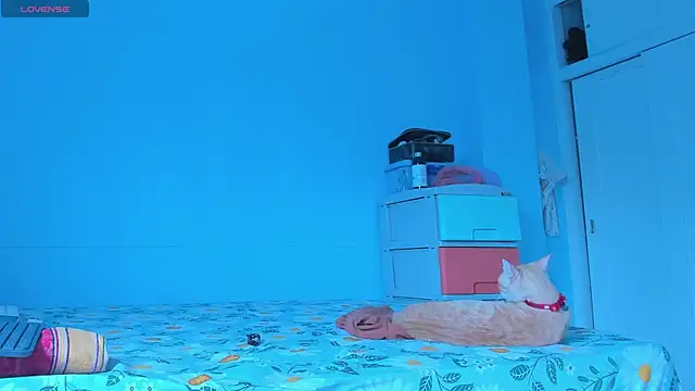 alice guzman1 online show from April 29, 2026, 5:17 pm