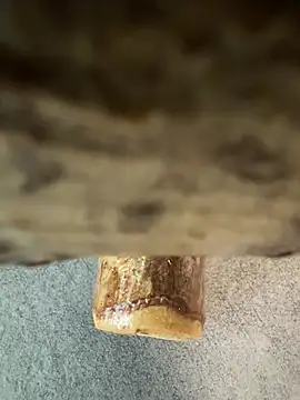 Snapshot of fuocovivo4 chatting on January 30, 2025, 11:11 am fuocovivo4 online show from January 30, 2025, 11:11 am