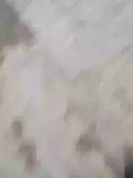 Snapshot of Hot_funky_boy chatting on February 3, 2025, 12:47 pm Hot funky boy online show from February 3, 2025, 12:47 pm